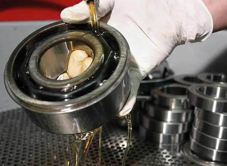 Sostituzione grasso per cuscinetti industriali da BBM CUSCINETTI