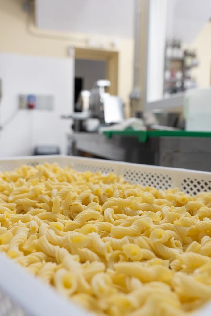 Preparazione artigianale della pasta fresca al Pastificio F.lli Berutto