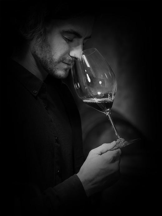 Bottiglie di vino Terre di Levanto