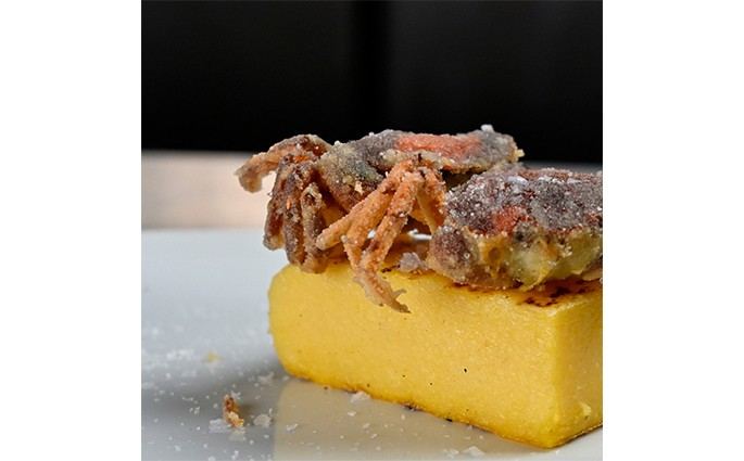 OSTERIA CAORLOTTA - Firenze - RISTORANTE DI PESCE