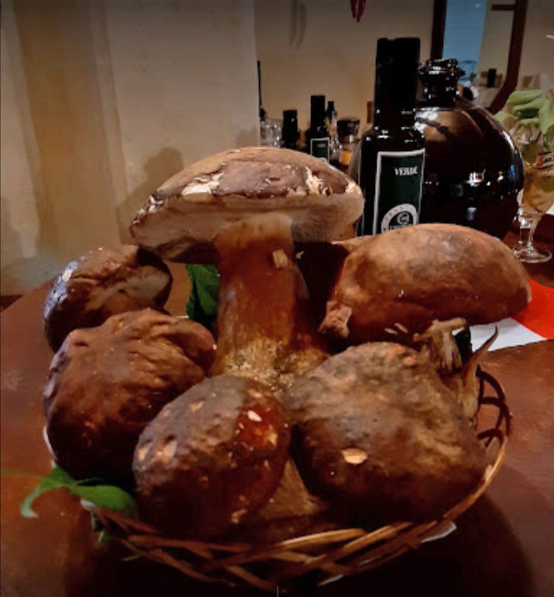 Piatti della tradizione marchigiana al Ristorante Piccolo Ranch