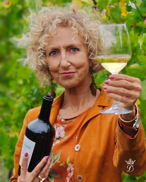 CANTINA DAZIO