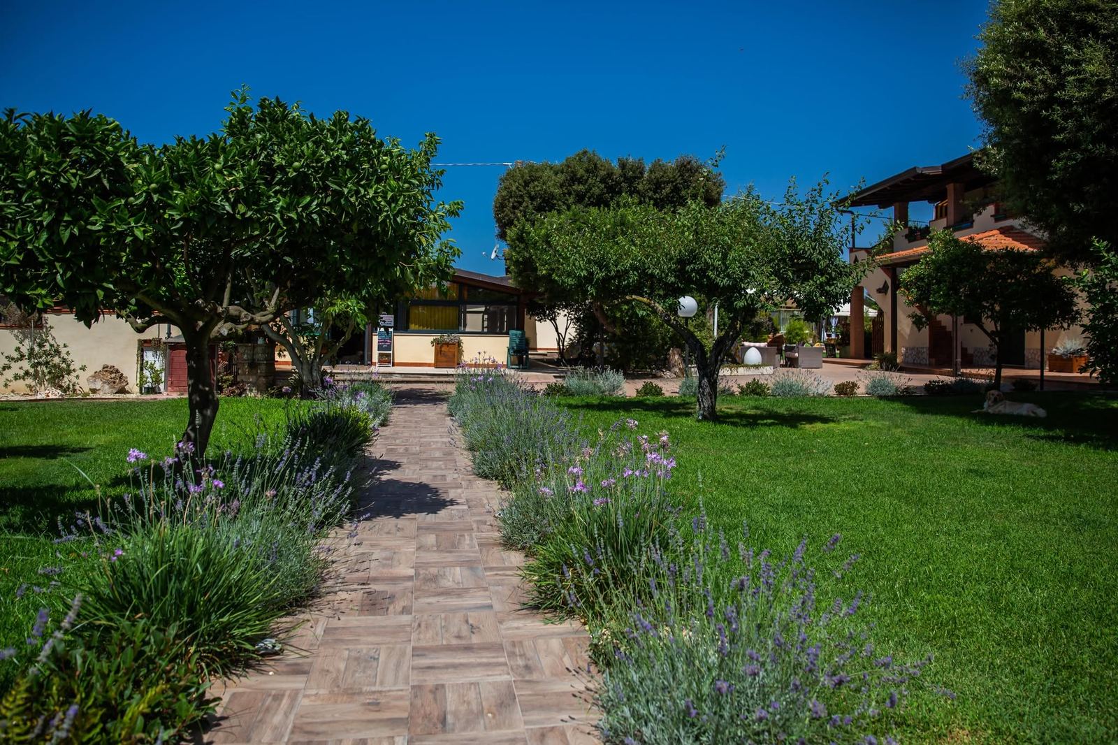 I Lecci GuestHouse Circeo