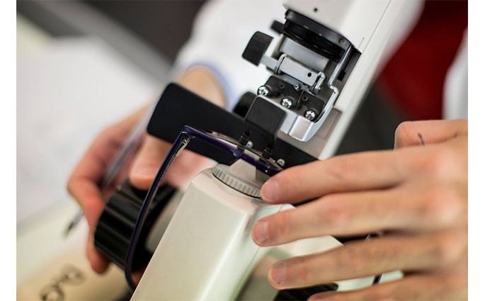 Visual Company di Francesco Fumarola Primo centro di progettazione occhiali In Italia con tripla garanzia