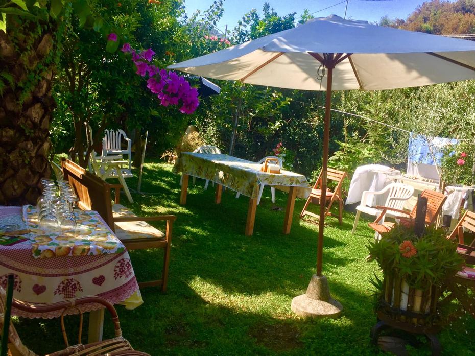 Cantina TERRE DI Levanto - ENOTECA FUORIPORTA della Cantina TERREDILEVANTO