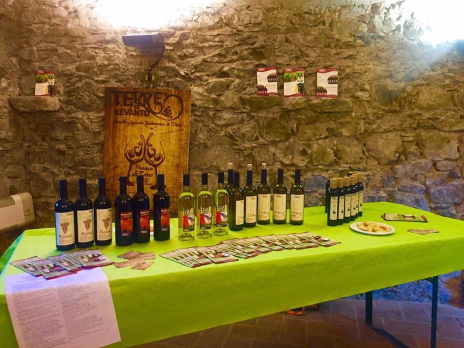 Cantina TERRE DI Levanto - ENOTECA FUORIPORTA della Cantina TERREDILEVANTO