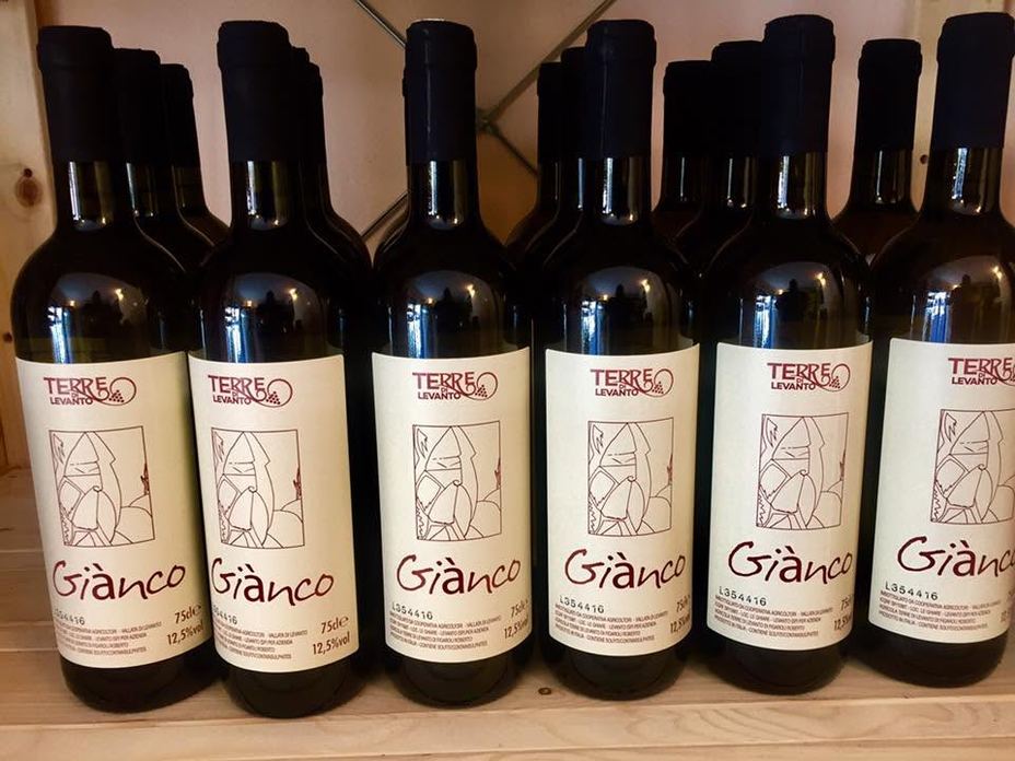 Cantina TERRE DI Levanto - ENOTECA FUORIPORTA della Cantina TERREDILEVANTO
