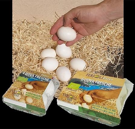 Parco Monti Sibillini sede Società Agricola Ferioli
