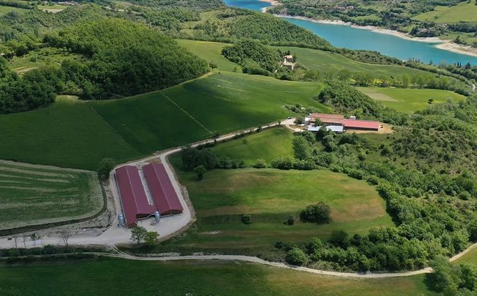 Confezionamento uova Società Agricola Ferioli