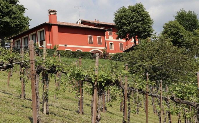 Società Agricola Vigne Matte