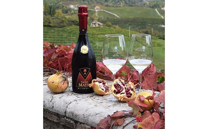 Società Agricola Vigne Matte
