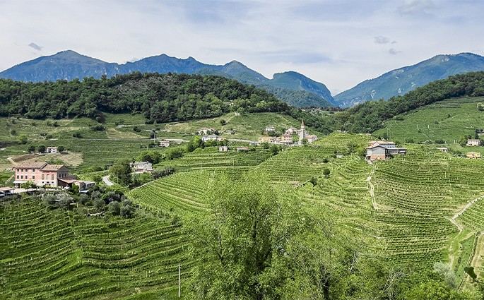 Società Agricola Vigne Matte