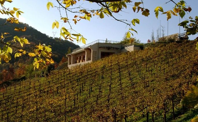 Società Agricola Vigne Matte