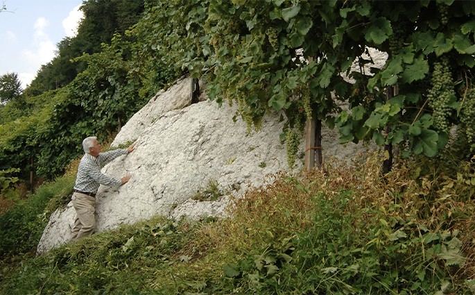 Società Agricola Vigne Matte