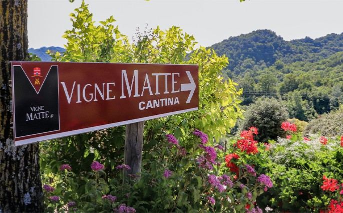 Società Agricola Vigne Matte