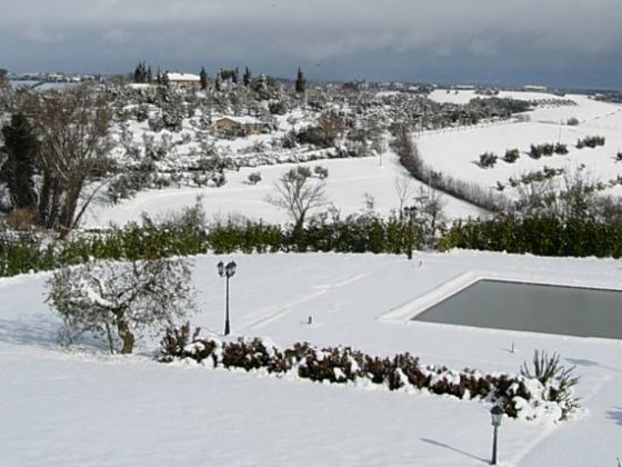Piscina a sfioro dell'Agriturismo Poggio Bellavista