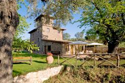 Azienda Agricola Il Torrino Dei Gelsi