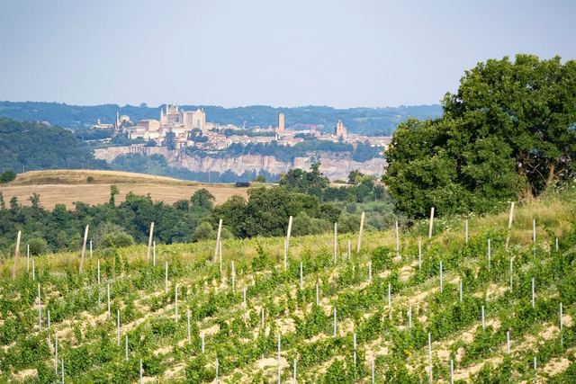 Agriturismo Tenuta Di Corbara