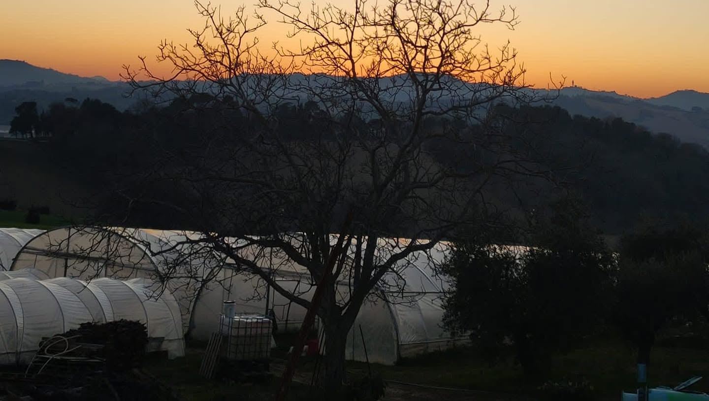 Azienda Agricola Nisi & Agriturismo Venticello Del Conero