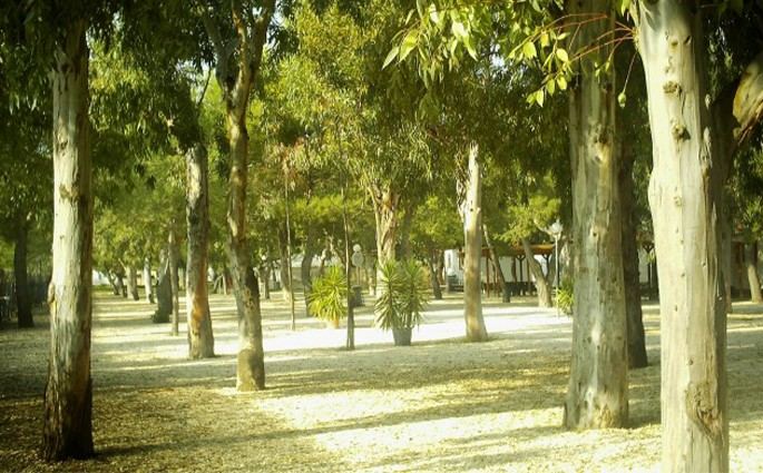 Camping Lido Salpi