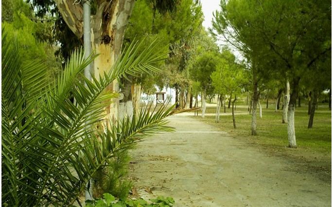 Camping Lido Salpi