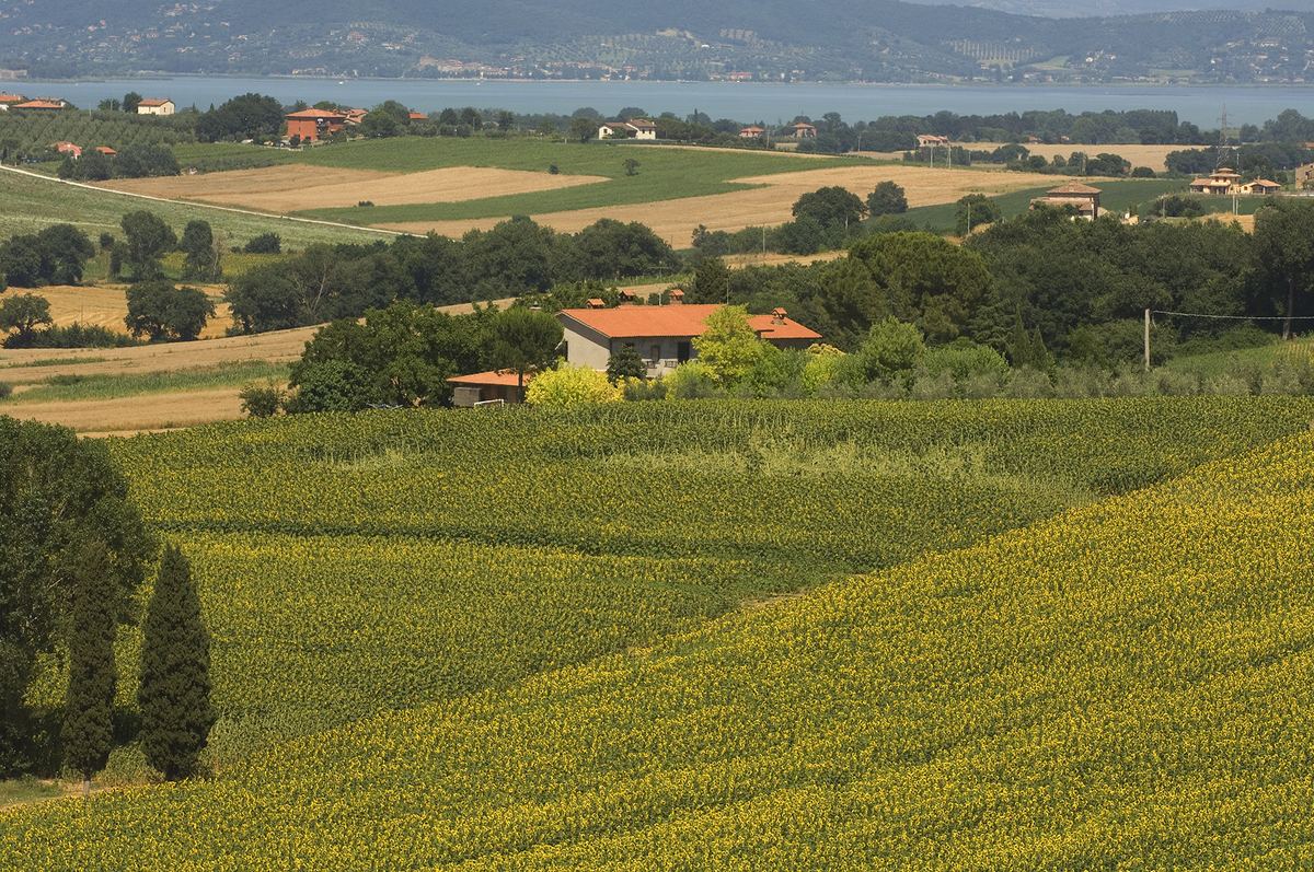 Prodotti dell'Azienda Agricola Bittarelli Patrizio