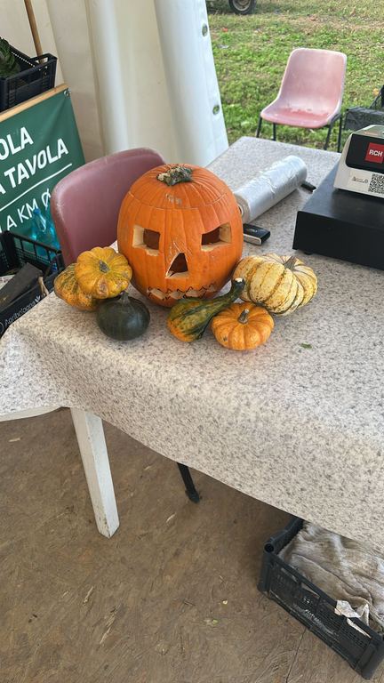 DALLA TERRA ALLA TAVOLA