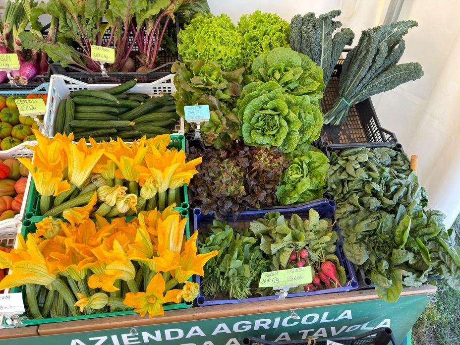 DALLA TERRA ALLA TAVOLA