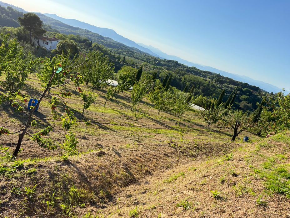 DALLA TERRA ALLA TAVOLA
