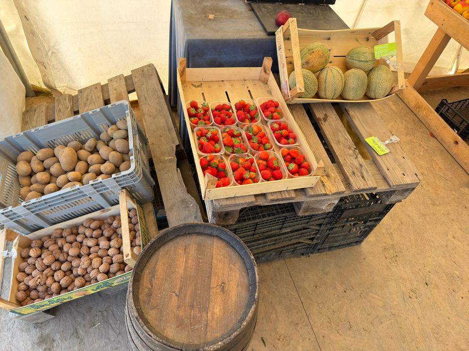DALLA TERRA ALLA TAVOLA