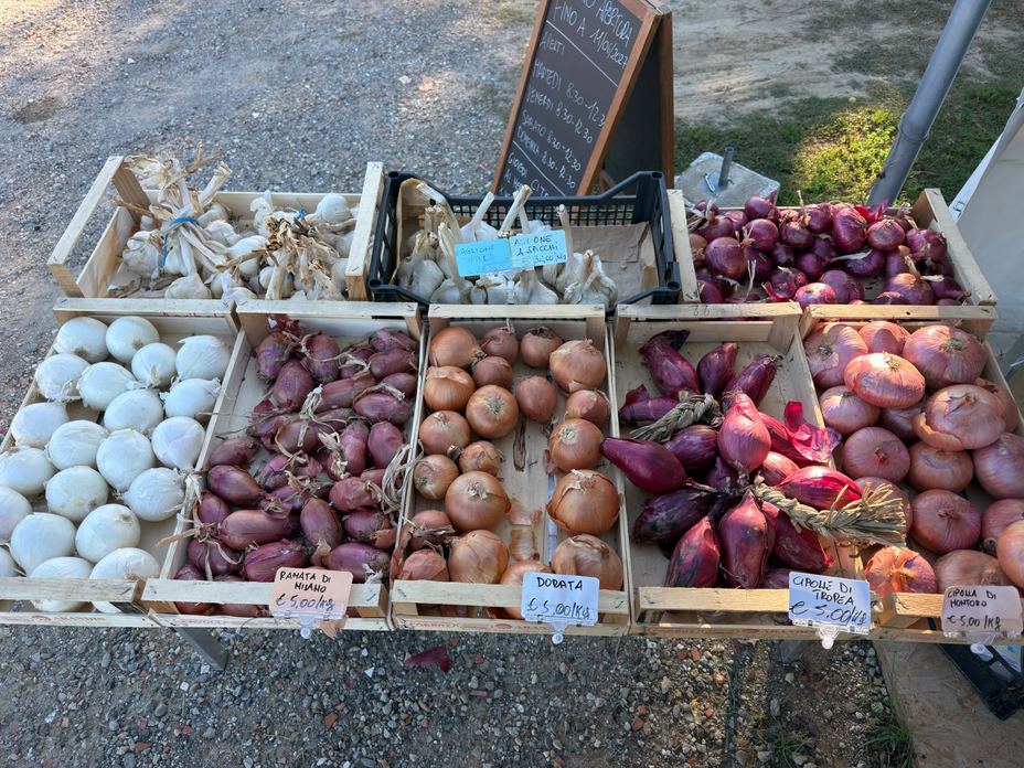 DALLA TERRA ALLA TAVOLA