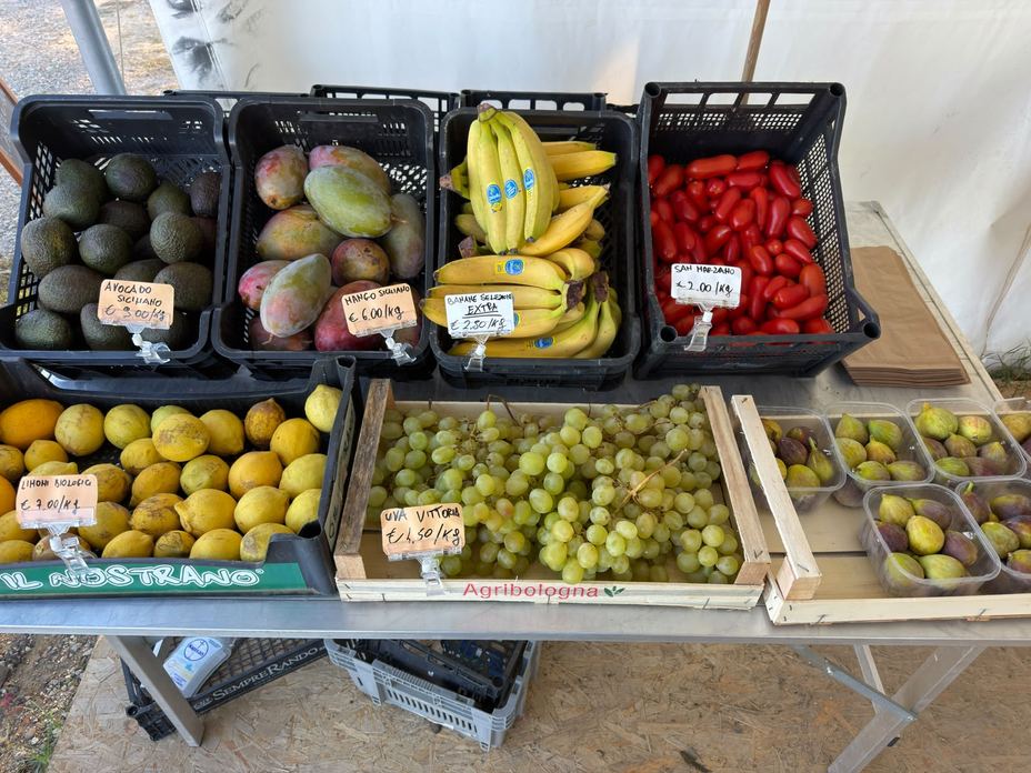 DALLA TERRA ALLA TAVOLA