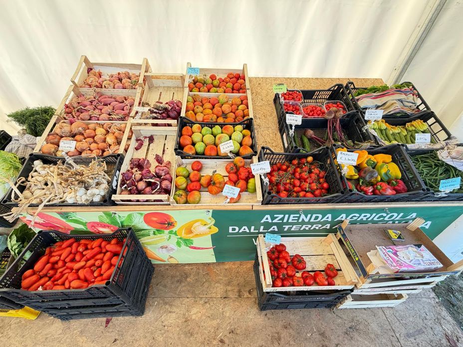 DALLA TERRA ALLA TAVOLA
