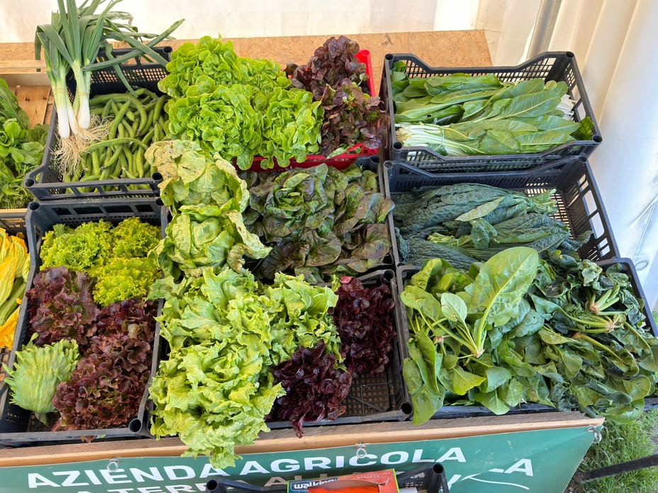 DALLA TERRA ALLA TAVOLA