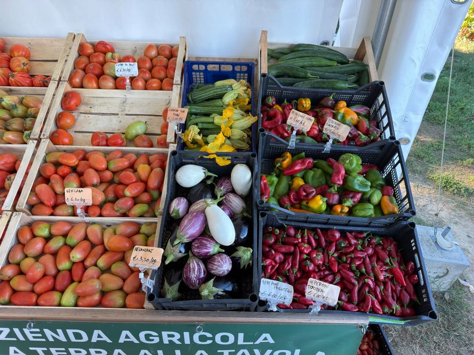 DALLA TERRA ALLA TAVOLA