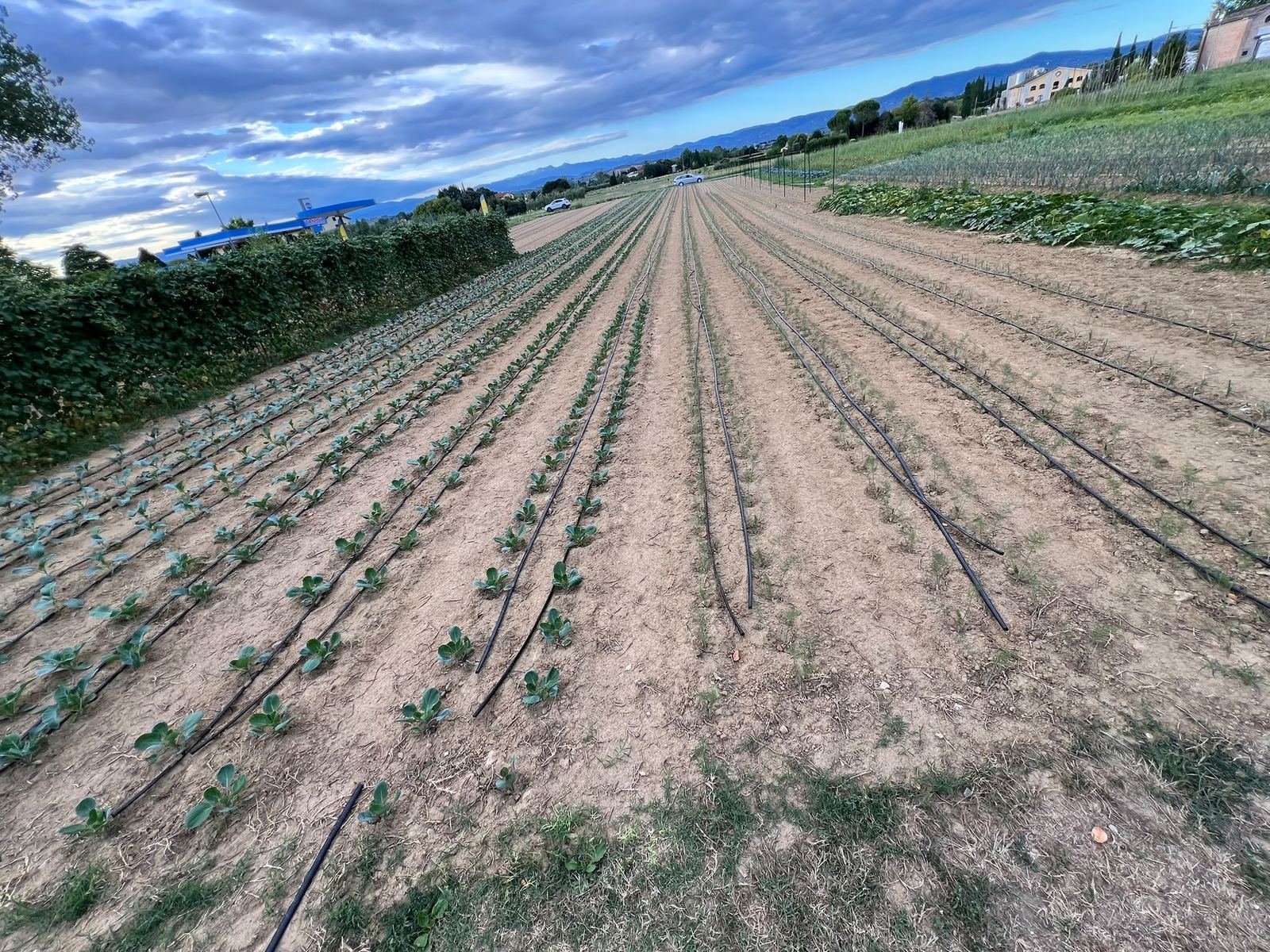 DALLA TERRA ALLA TAVOLA