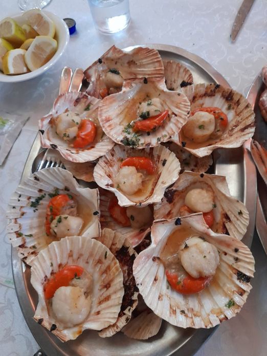 TRATTORIA AL CASON ''DAEA STEA''
