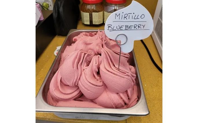 GHEDIN S.R.L Crema Gelato