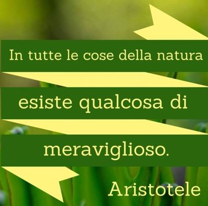 Agriturismo Agritrosciole