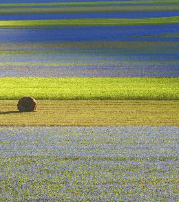 Natura circostante l'Agriturismo Fattoria Aquilone