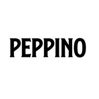 PEPPINO SALVATORE PAONESSA
