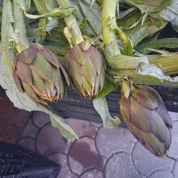 DA SABRINA FRUTTA E VERDURA