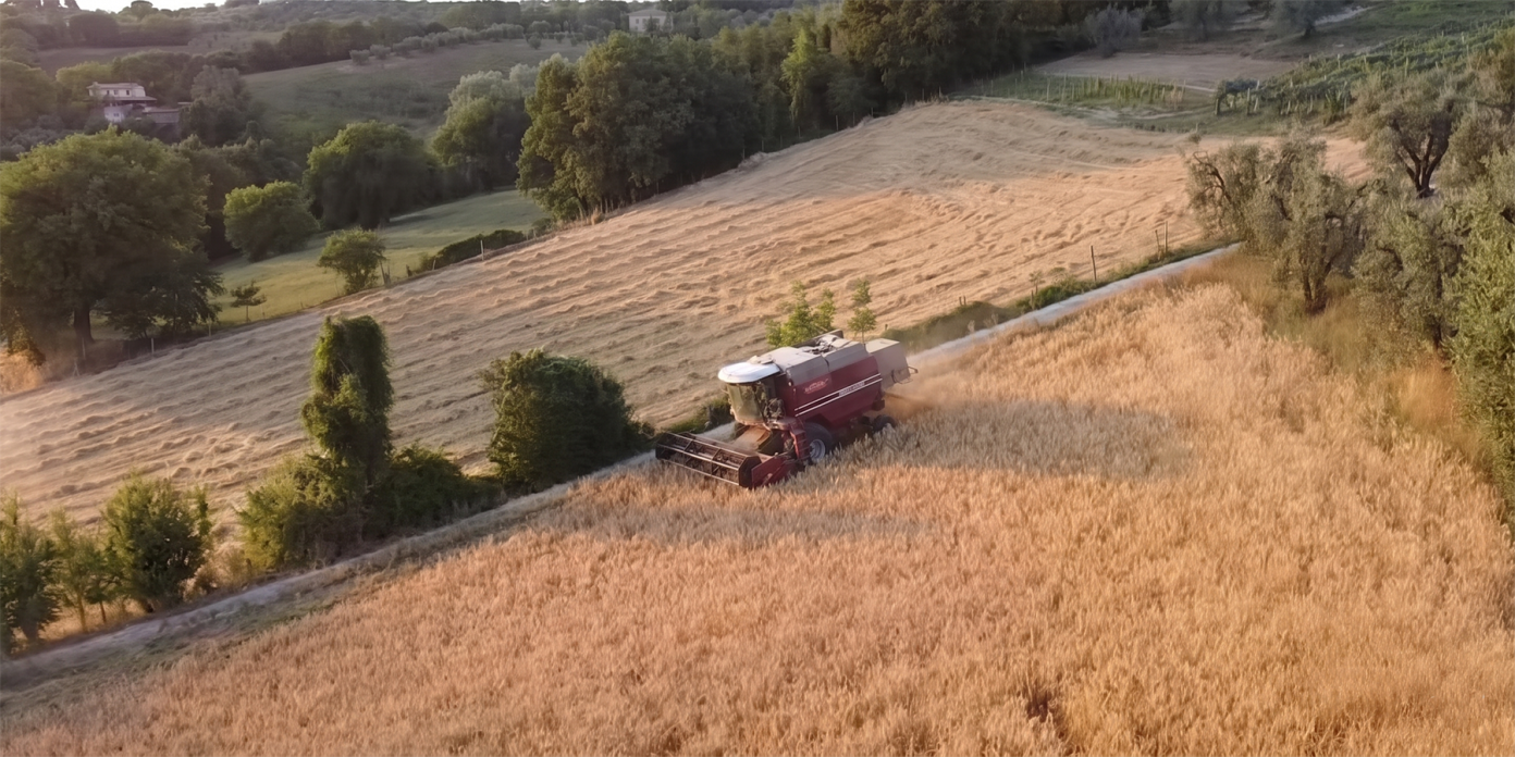 Prodotti dell'azienda agricola