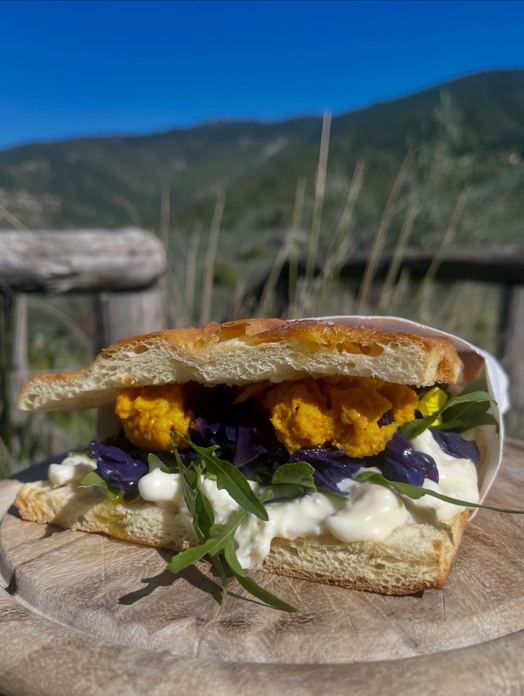 BOTTEGHINA DI MORELLO OSTERIA - GASTRONOMIA TIPICI SAPORI TOSCANI