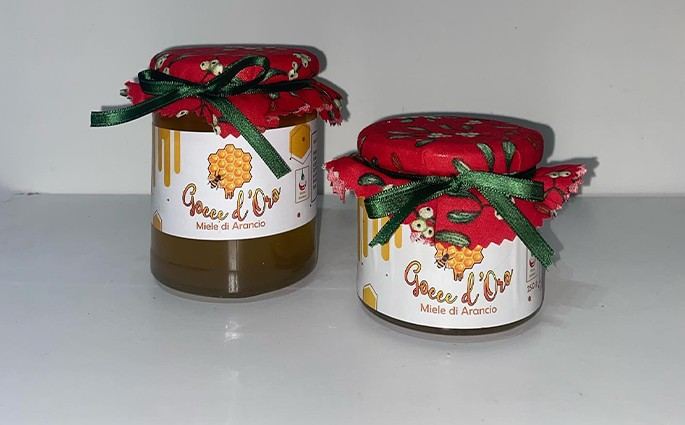 GOCCE D'ORO APICULTURA & SERVIZI