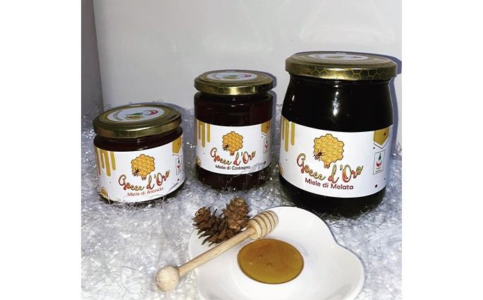 GOCCE D'ORO APICULTURA & SERVIZI