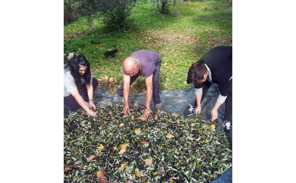Az. Agricola Bello - DueCuori OlioEvo