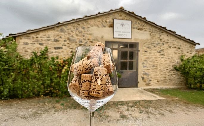 Azienda Ricci