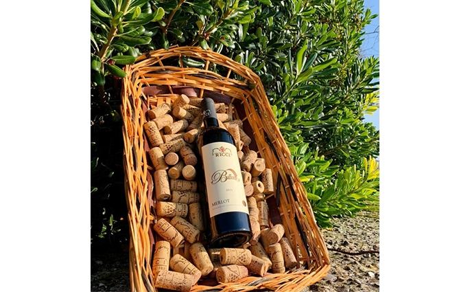 Azienda Ricci