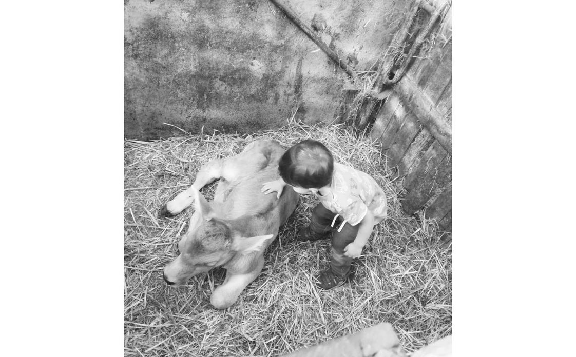 AZIENDA AGRICOLA - FLAMMINI